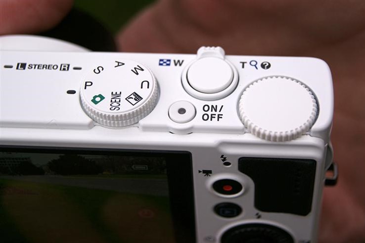 Nikon Coolpix P310 (10).jpg
